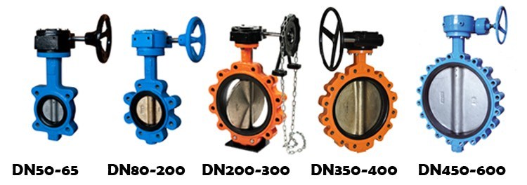 Worm Actuated Fully Lugged Butterfly Valve Ggg40