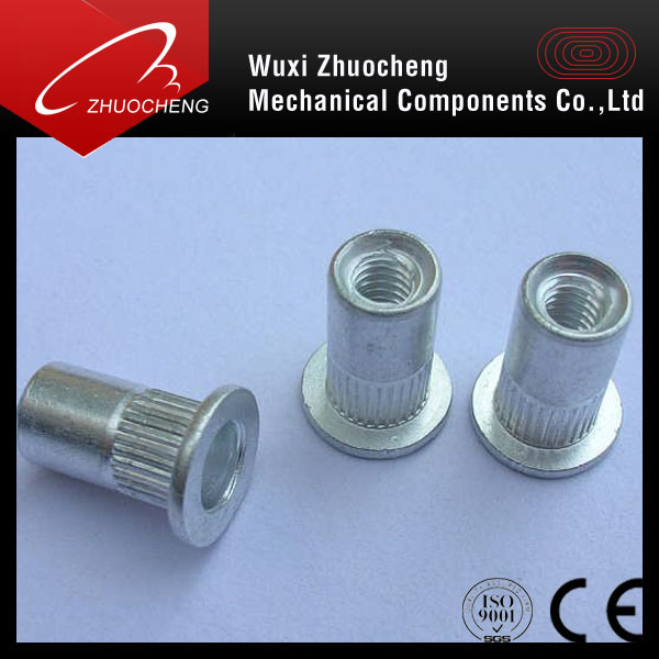 Stainless Steel Aluminium Rivet Nut with Best Price