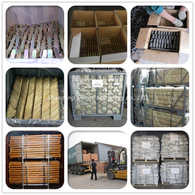 China Factory Formwork Concrete Water Barrier Nut for Concrete Wall