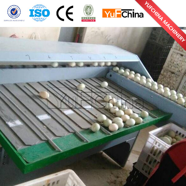 High Quality Egg Sorting Machine for Sale