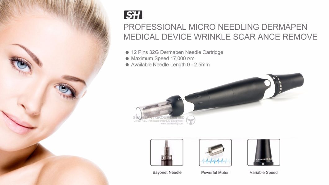 Korea Micro Derma Roller Electric Microneedles with 12 Needles