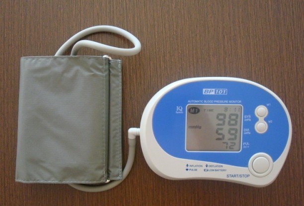 Arm-Type Blood Pressure Monitor (HS-500)