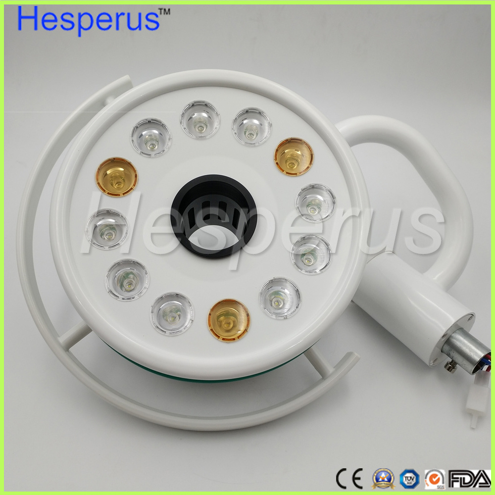 LED Shadowless Medical Operation Oral Lamp for Dental Implant Surgery Beauty