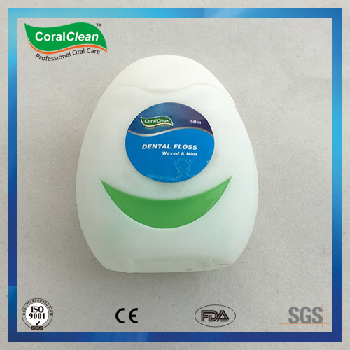 Oral Hygiene Fresh Mint Nylon PTFE Dental Floss Flosser