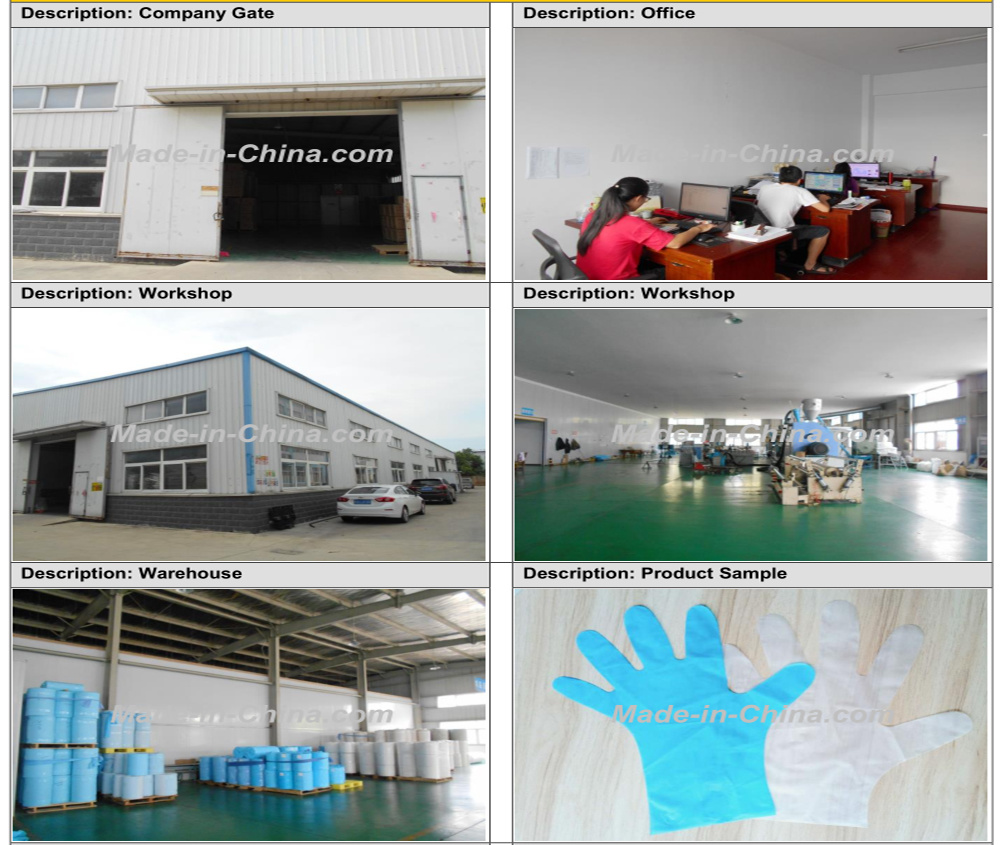 Hot Sale Disposable PVC Examination Powder Free Vinyl Gloves