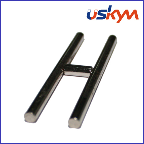 Special Shape NdFeB Magnet (S-001)