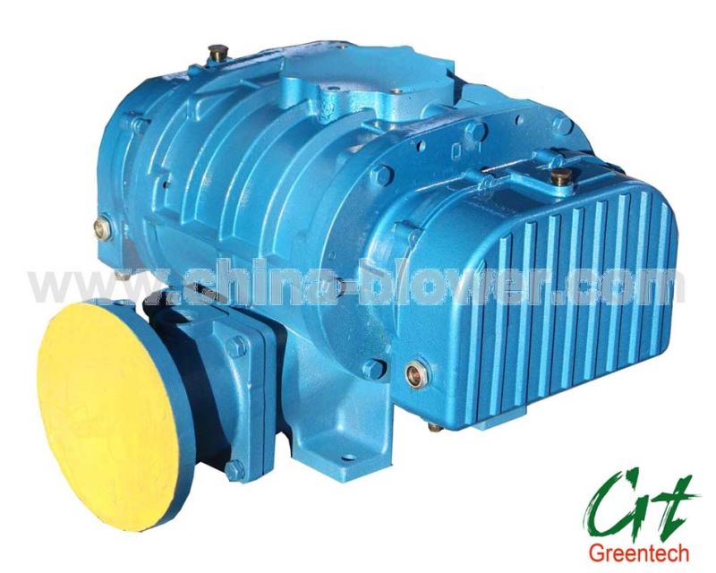 Roots Blower (Compressor) Vacuum Pump (NSRH)