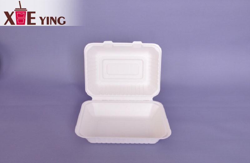 100% Biodegradable Disposable Microwave Food Container Five Compartment Paper Pulp Tray