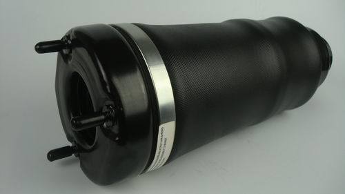 Brand New Air Suspension Spring Suspension for Benz W251 (Front)