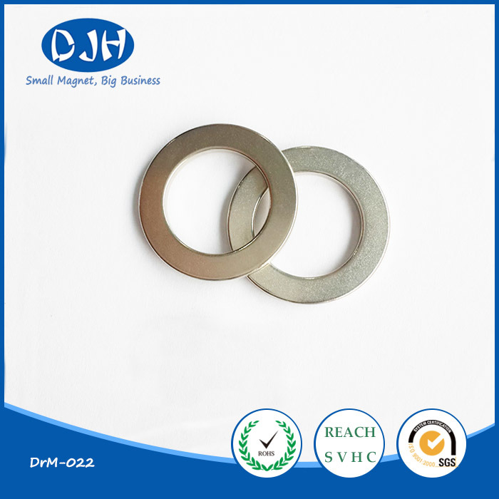 Permanent Sintered Magnetic Material NdFeB Ring Magnet for Motor (DRM-022)