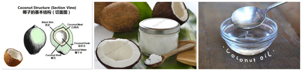 Small Virgin Coconut Oil Press Extracting Centrifuge Machine