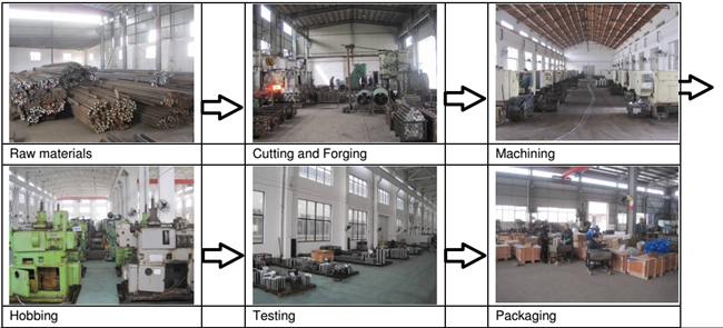 OEM Standard Nylon Plastic Spur Gear with Straight Teeth