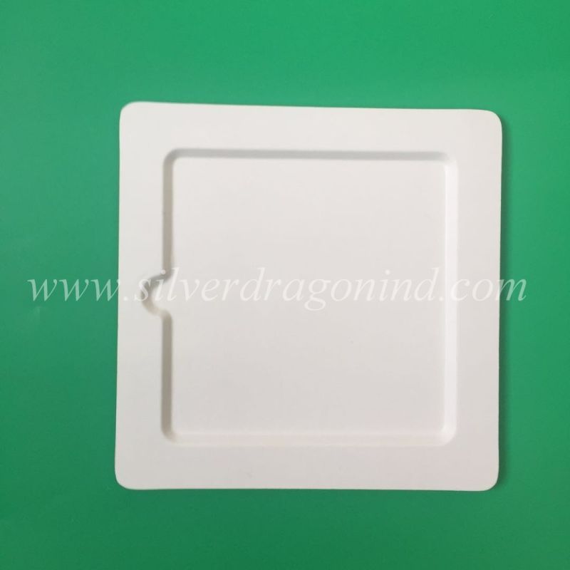 China Made Eco-Friendly Disposable Sugarcane Pulp Paper Plate