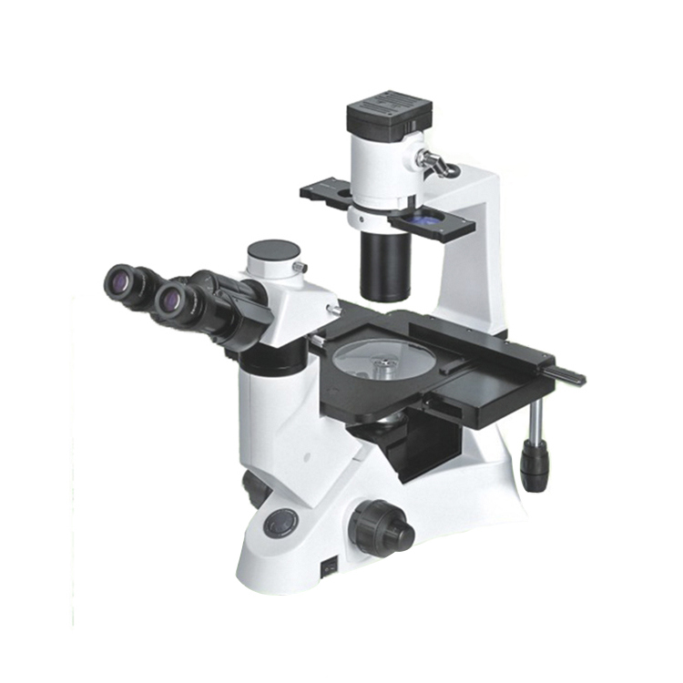 China Laboratory Inverted Biological Microscope Yx-Nib100 with Halogen Lamp