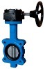 Epoxy Coated Cast Iron Lever Operated Butterfly Valve