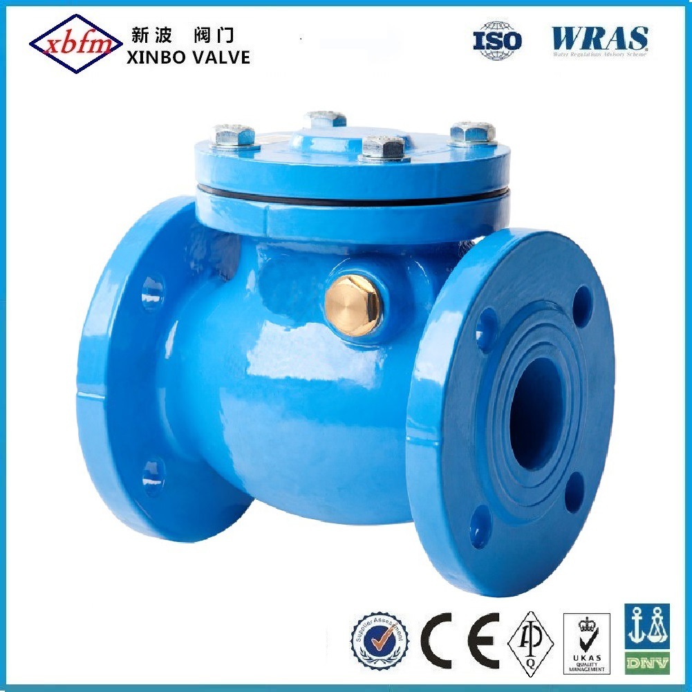 Ductile Iron Swing Check Valve