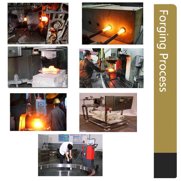 OEM/Custom Precision Metal/Iron/Steel Forge/Forged/Forging Part with CNC Machining Service