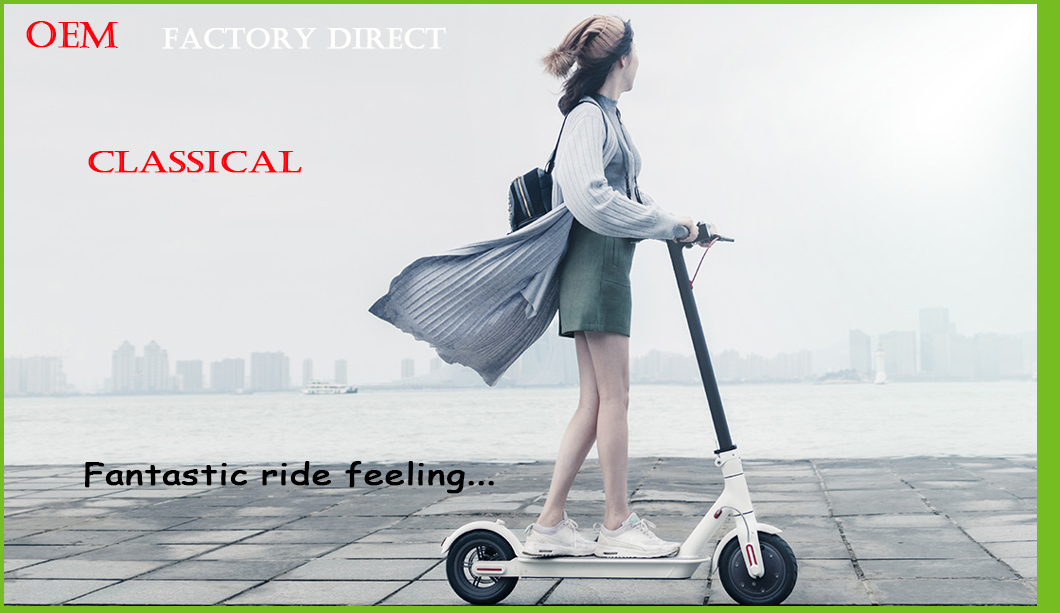 Dual Suspension Electric Bike Folding Electric Scooter with APP Function