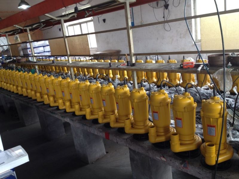 Professional Manufacturer Good Quality Sewage Pump with CE Certificate