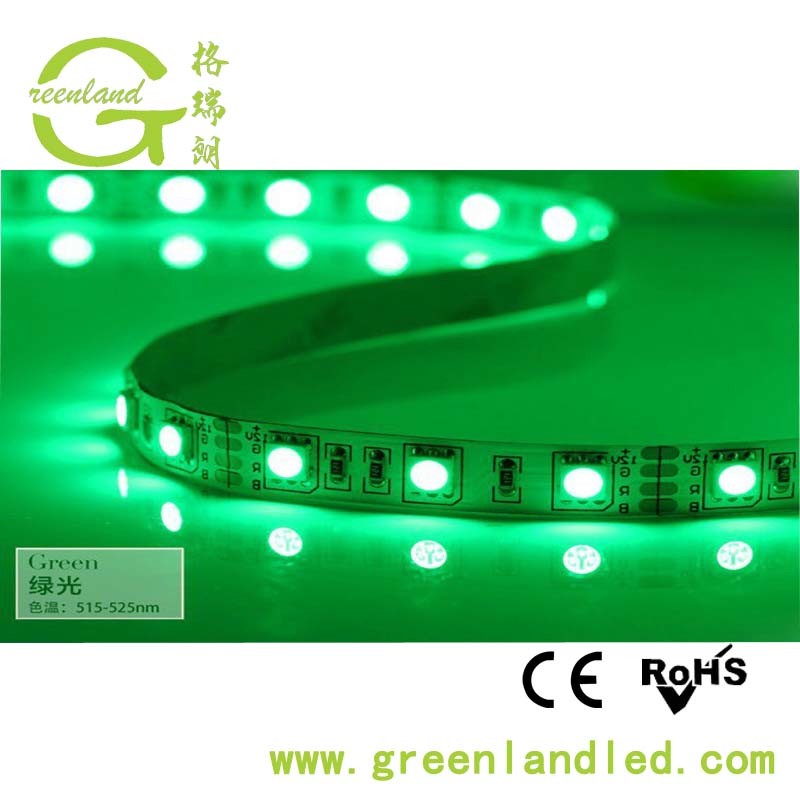 Ce RoHS 12V 24V 60LEDs 5050 LED Strip Light