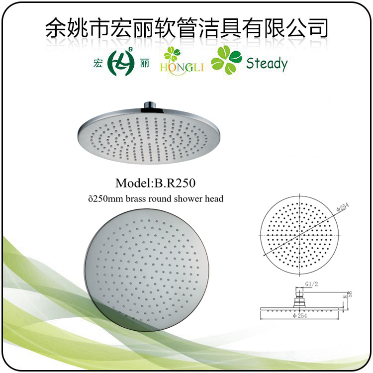 Chrome Plated Round Shape Brass Shower Head B. R200