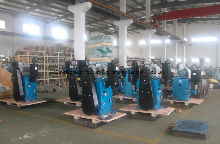 Double Stage Electrical Vacuum Drying Rotary Piston Pump