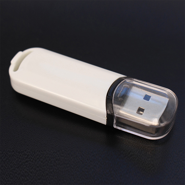 Best Promotion Gift with Your Logo USB Flash Drive (UL-P009)