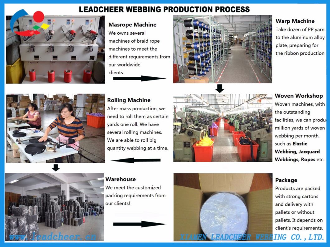 Factory Polyester Heavy Duty Wholesale Nylon Webbing