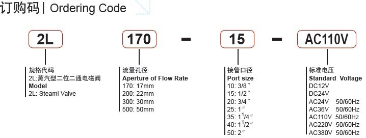 2L500-50 2 Inch Water Steam Solenoid Valve