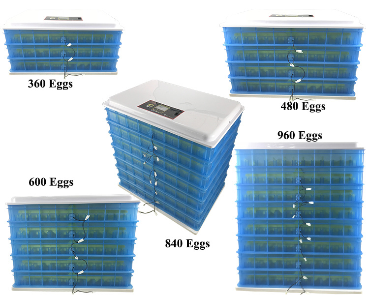 2018 Popular Hhd Automatic Poultry Egg Incubator for Sale H-840 Ce Passed