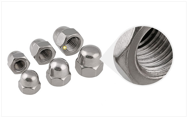 Stainless Steel Slotted Hex Cap Nut