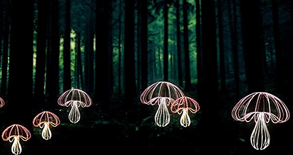 Mushroom Light Amusement Park Christmas Garden Decorarion Light