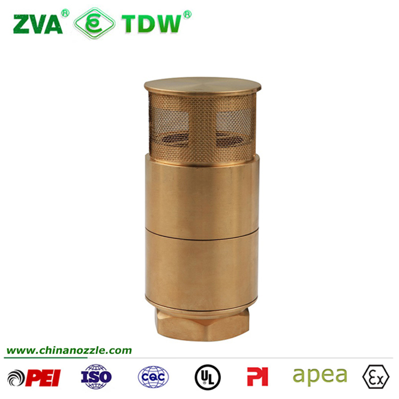 Filter Brass Foot Check Valve for Fuel Dispenser Pump (TDW-CP)