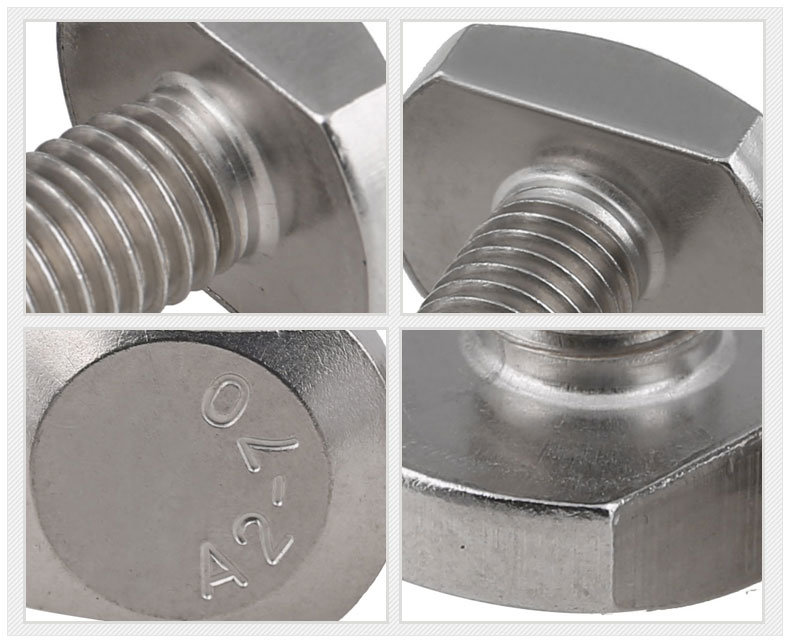 Stainless Steel Eye Anchor Bolt T Head T-Bolt