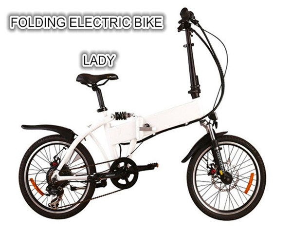 Lady Folding Electric Vehicle with Magnesium Integrated Wheel