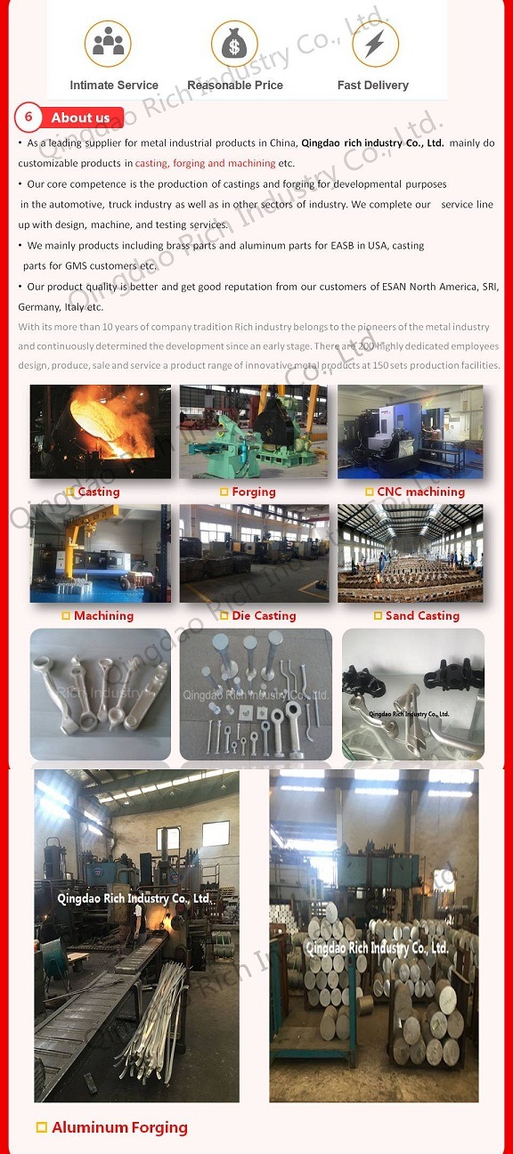 Casting Aluminum Part/Aluminium Forging/ Aluminum Parts/Brass Casting /CNC Machining Aluminum Parts/ Quick Clamp/Automobile Part