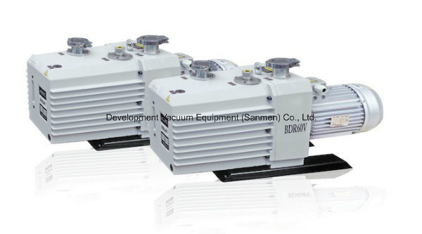 Sliding Vane Rotary Vacuum Pump (2X)