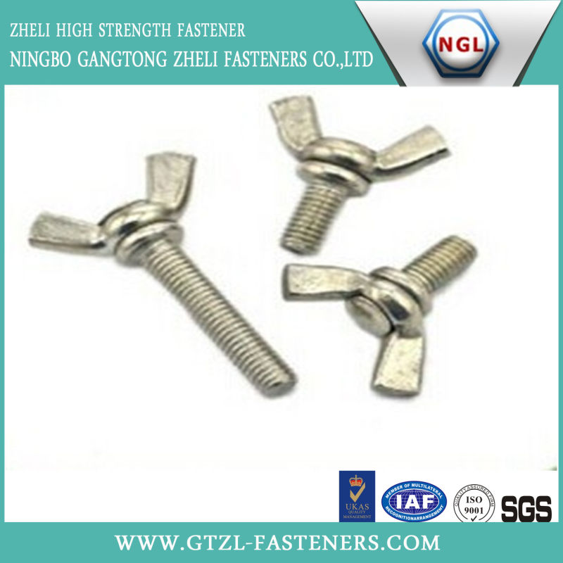 M5-M45 of Stainless Steel Wing Bolt, Bolt with Wing Nut