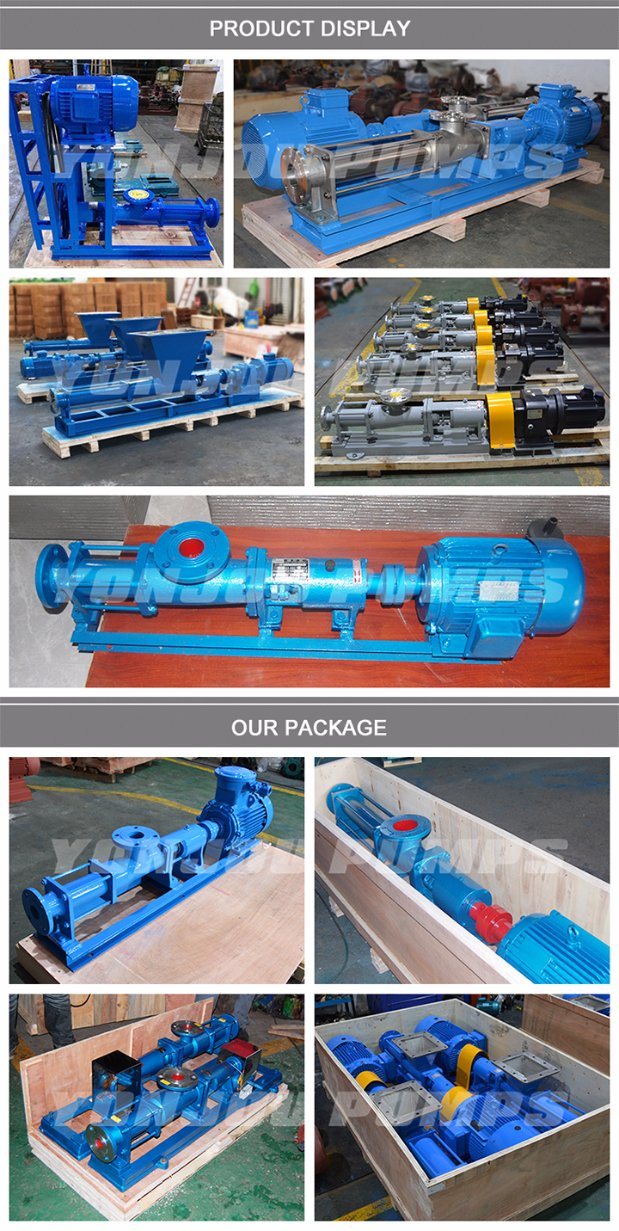 Cement Screw Pump/Single Screw Pump/Mono Screw Pump (Cast Iron, Stainless Steel 304, 316, 316L)