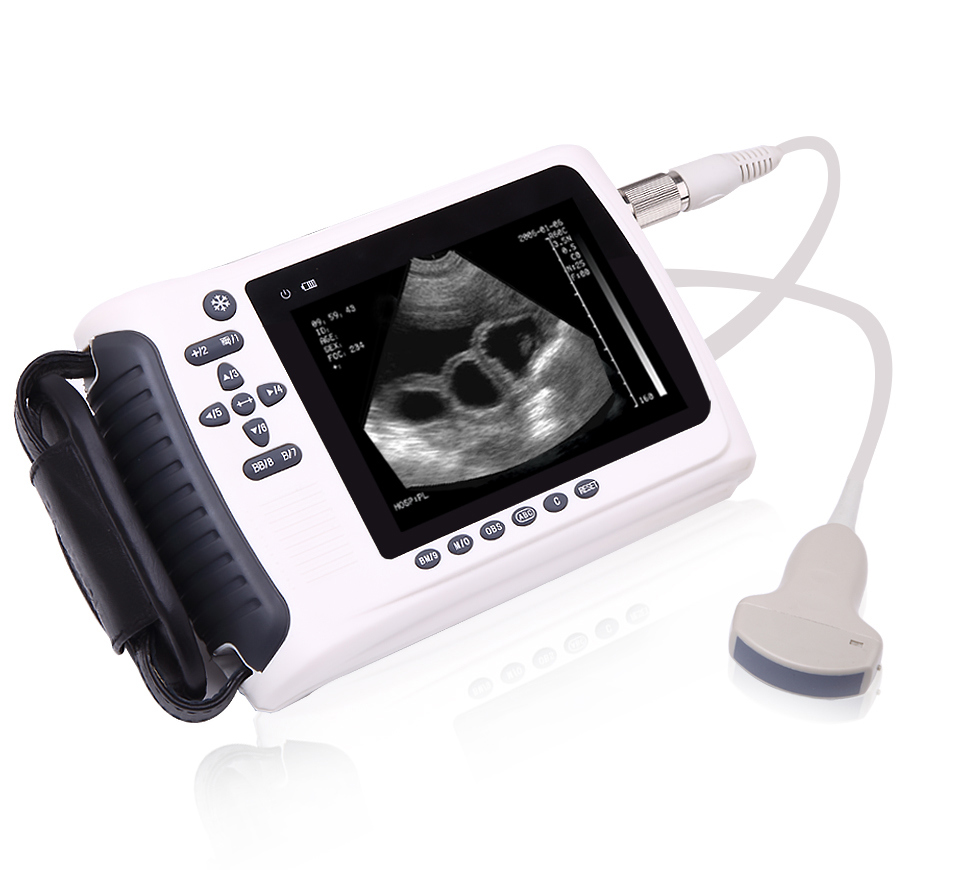 Multi Animal Use Handheld Ultrasound Transducer Veterinary Handheld Ultrasound Scanner Special for Farm Mslvu22
