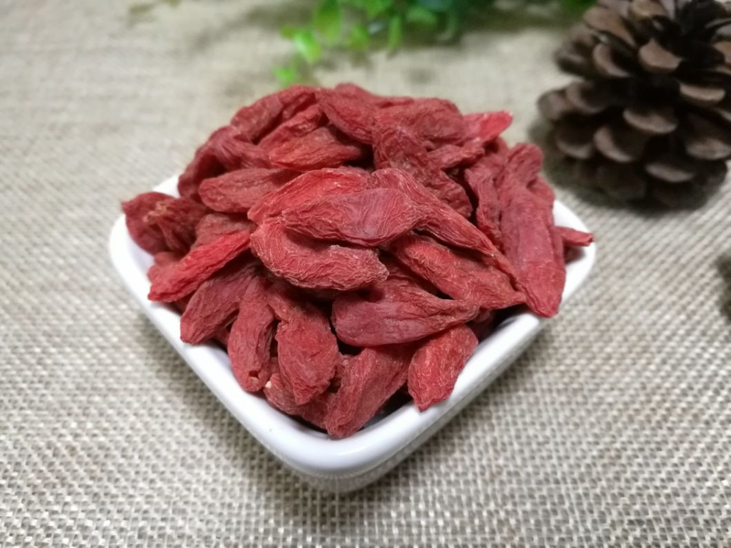 Hot Sale Dried Goji Berry From China