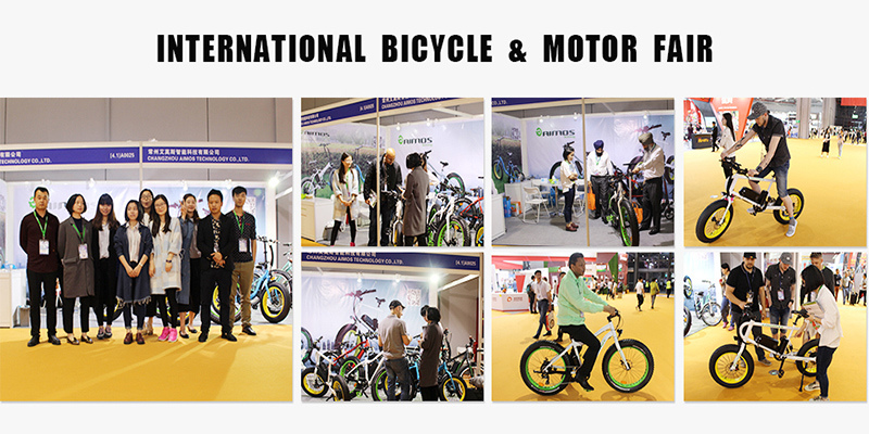 48V 1000W Bafang Motor Energy Saving Electric Bike with Ce Certificate
