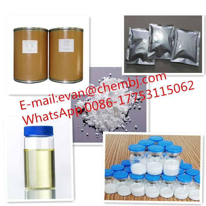 Antibiotics Drug Tacrolimus CAS: 109581-93-3