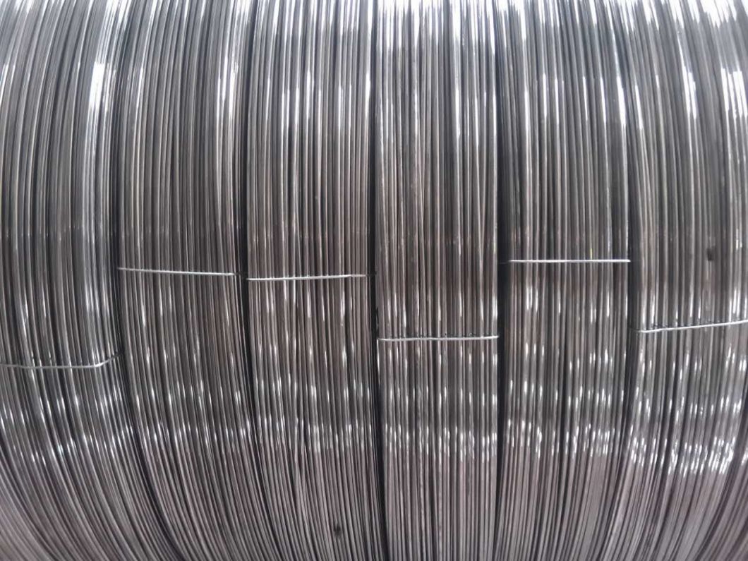 Hot Dipped Galvanized Oval Wire for Brazil Uruguary Market