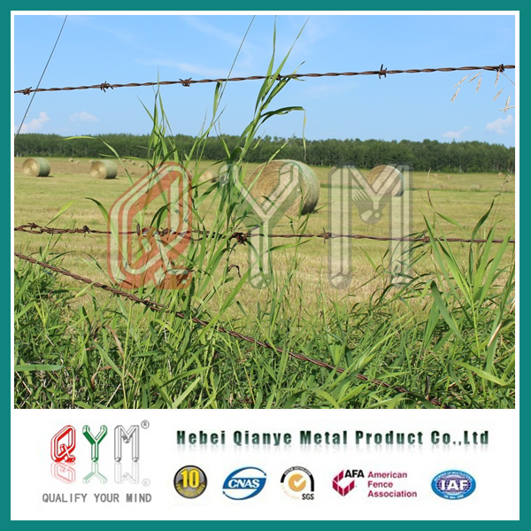 Hot-DIP Galvanized Barbed Wire Price Per Roll/Barb Wire Fence Sale