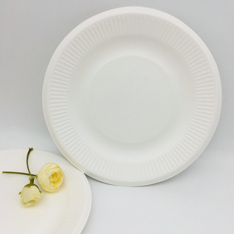 Disposable Tableware Party Paper Pulp Plates