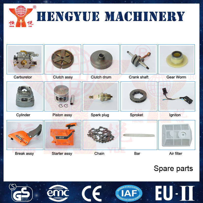 Water Pump with High Quality and Ce Cerfication