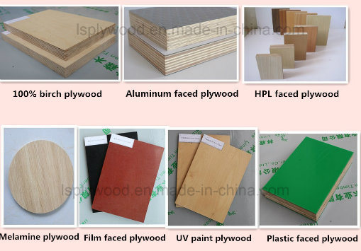 Curved Plywood Used for Construction and Others Need