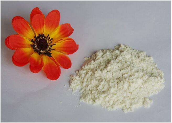 Anti-Inflammatory Raw Steroid Powder USP Beclometasone Dipropionate (99%) /5534-9-8