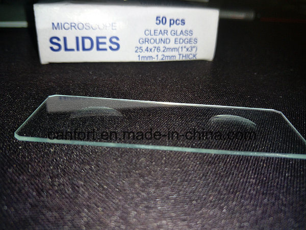 Microscope Slide Glass 7104 with Double Concave, Ground Edges